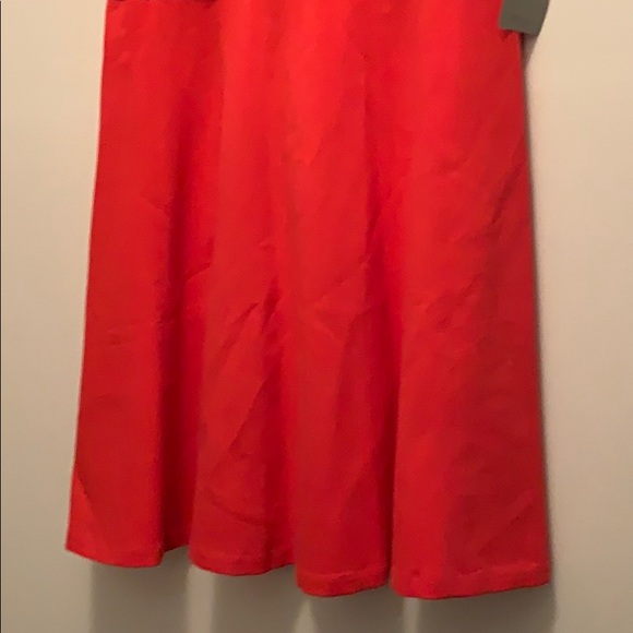 Eliza J Dress size 14 NWT - Picture 5 of 8